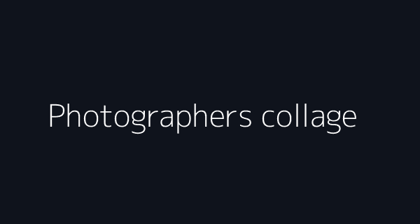 Photographers using Vizllo